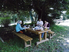 Watanabe Bio Grüntee