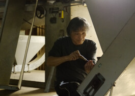 Watanabe Bio Grüntee