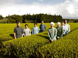 Watanabe Bio Grüntee