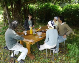 Watanabe Bio Grüntee