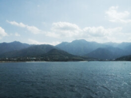 Watanabe Bio Grüntee